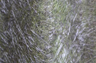 Iwade fibreglass roof work